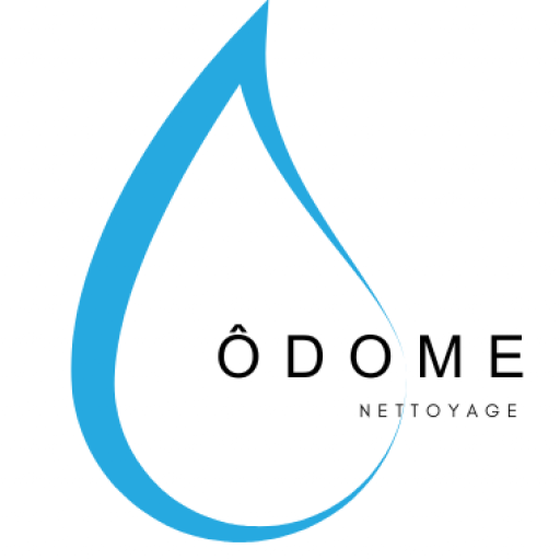 nettoyage canapé Sarthe